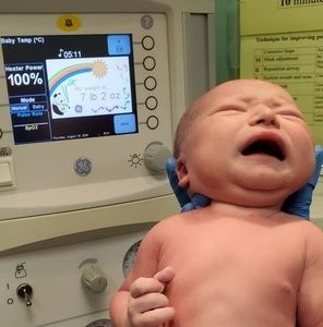 Meet your Posher, Connie